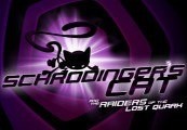 Schrödinger’s Cat And The Raiders Of The Lost Quark Steam CD Key