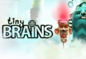 Tiny Brains Steam CD Key