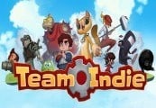 Team Indie Steam CD Key