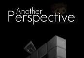 Another Perspective PC Steam CD Key