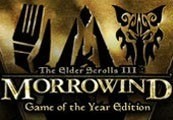 The Elder Scrolls III Morrowind GOTY Steam Gift