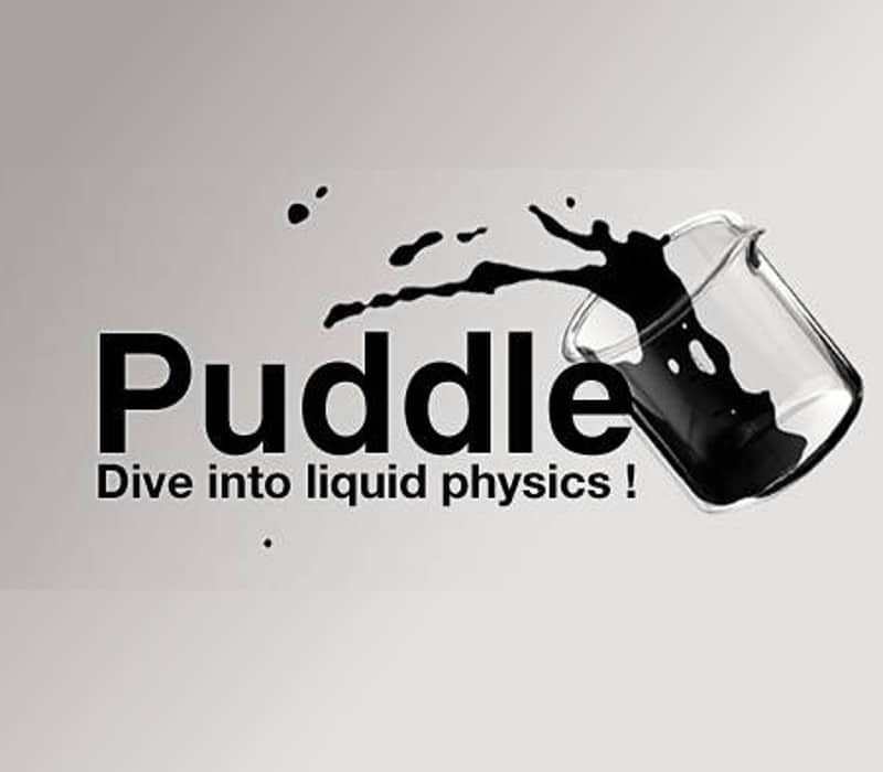 Puddle Steam CD Key